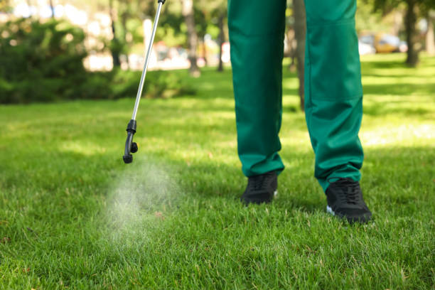 Professional Pest Control in Crane, TX