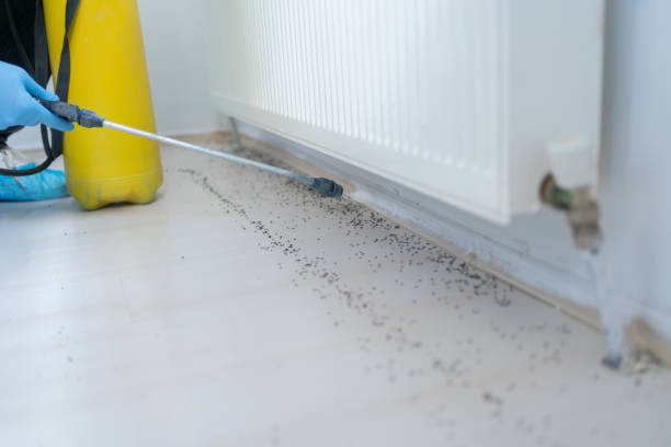 Best Rat Extermination Near Me  in Crane, TX